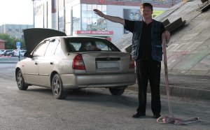 водитель голосует правильно